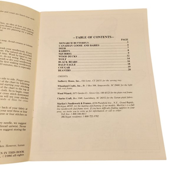 Stoney Creek Collection Nature's Companions Cross Stitch Pattern Book #47 - Picture 2 of 4